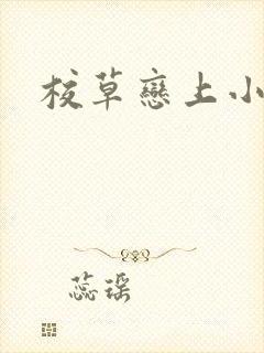 校草恋上小丫头