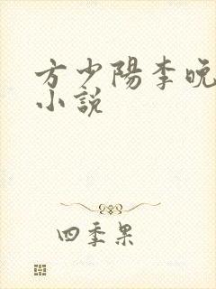方少阳李晚晴的小说