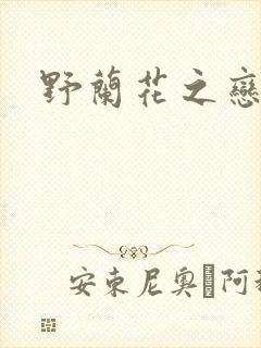 野兰花之恋