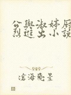 公与淑婷厨房猛烈进出小说