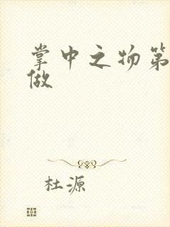 掌中之物第一次做