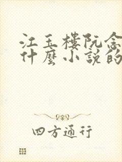 江玉楼阮念笙是什么小说的名字