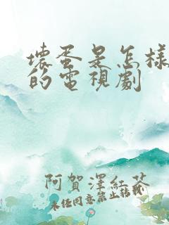 坏蛋是怎样炼成的电视剧