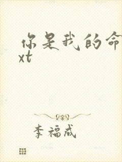 你是我的命运txt