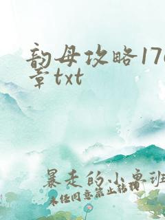 韵母攻略176章txt