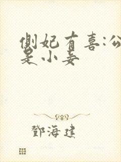 侧妃有喜:公主是小妾