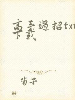 高手过招txt下载