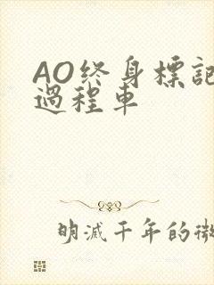 AO终身标记全过程车