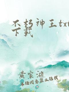 不朽神王txt下载