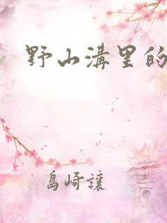 野山沟里的村庄