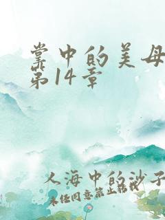 掌中的美母版主第14章