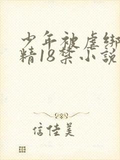 少年被虐绑着榨精18禁小说