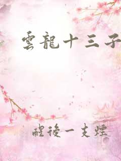 云龙十三子