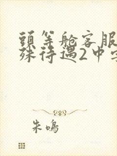 头等舱客服的特殊待遇2中字