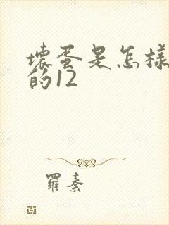 坏蛋是怎样炼成的12