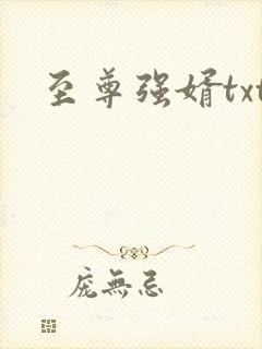 至尊强婿txt