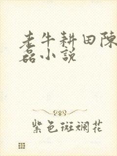 老牛耕田陈雪王磊小说