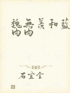 魏无羡和蓝忘机肉肉