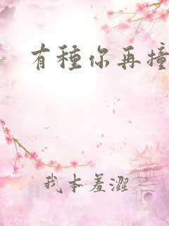 有种你再撞一下