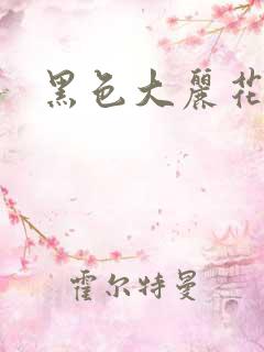 黑色大丽花图片