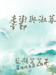 老卫与淑蓉全部章节