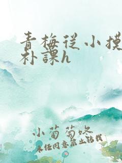 青梅从小摸到大补课h