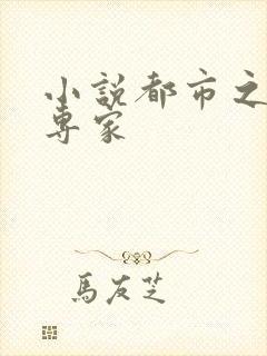 小说都市之军火专家