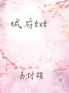 城府txt