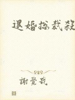 退婚总裁杀手妻