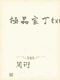 极品家丁txt