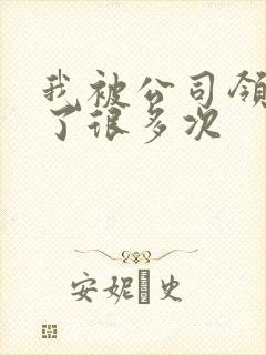 我被公司领导C了很多次