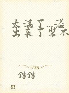 太满了...溢出来了装不下了