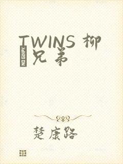 TWINS 柳澤兄弟