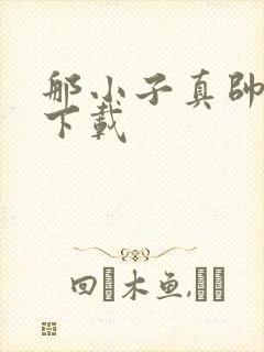 那小子真帅小说下载