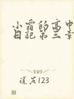 小霜的高中成长日记第三章