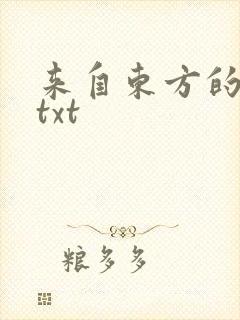 来自东方的骑士txt