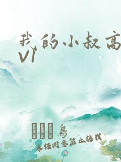 我的小叔高H1V1