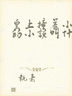 皇上撞着小公主的小说叫什么