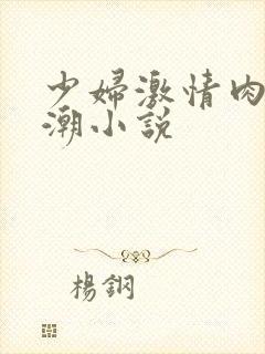 少妇激情肉欲高潮小说