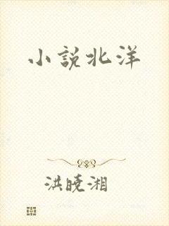小说北洋