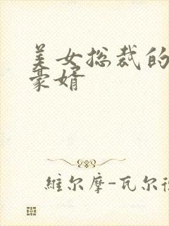 美女总裁的顶级豪婿