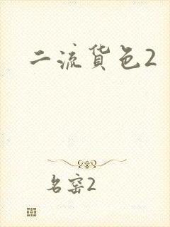 二流货色2