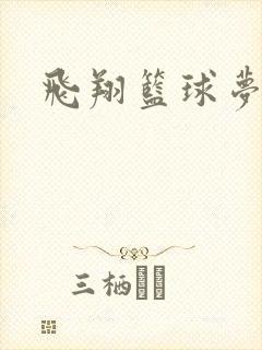 飞翔篮球梦下载