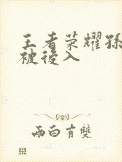 王者荣耀孙尚香被后入