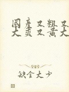 国产又粗又猛又大爽又黄大爷