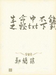 生命中不能承受之轻txt下载
