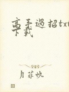 高手过招txt下载