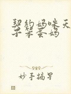 契约妈咪天才儿子笨蛋妈