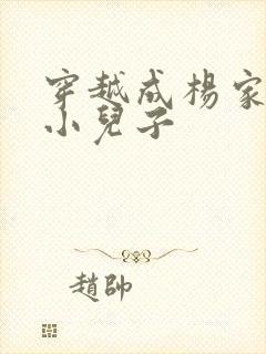 穿越成杨家将最小儿子