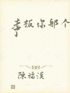 老板你那个太长了